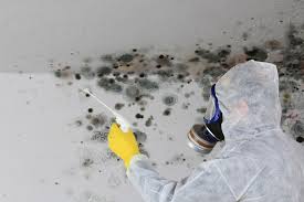 Mold Remediation for Vacation Homes in Prunedale, CA